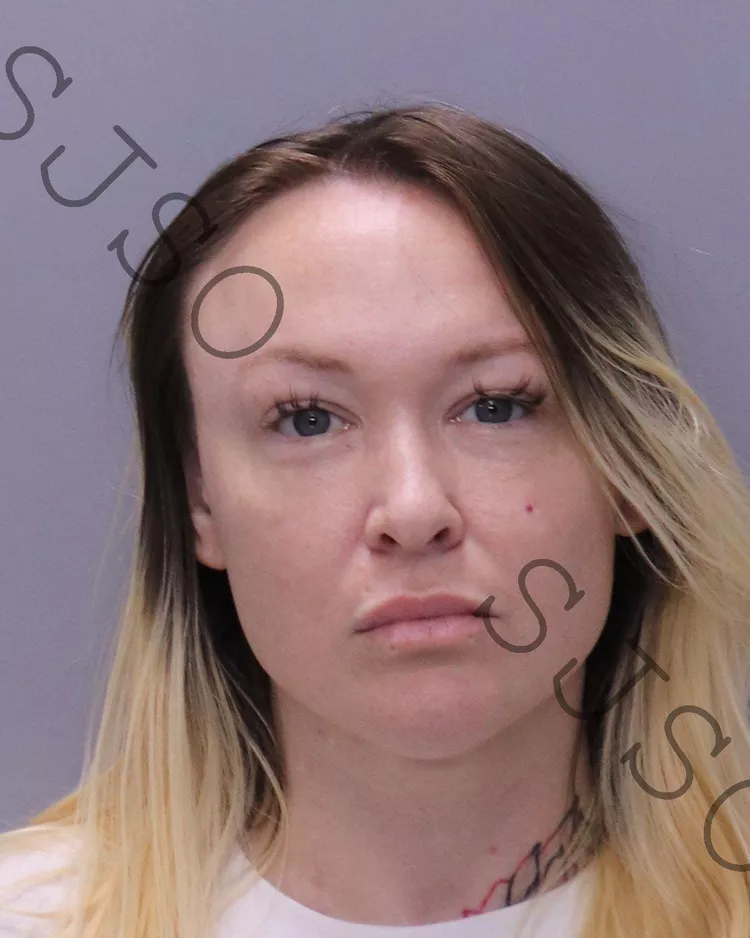 Elizabeth-Blanchard-Mugshot Credit: St. Johns County Sheriff's Office Elizabeth Blanchard, 34, was arrested on Oct. 30, 2024. She's accused of child sex crimes on a 15 y/o boy while working at EPIC Behavioral Healthcare.
