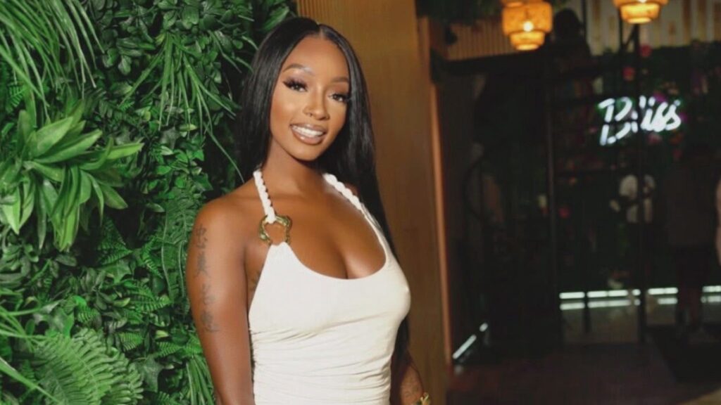 Precious Black, 29 year old St. Louis mother who died after police pursuit that began in Fairmont City Illinois